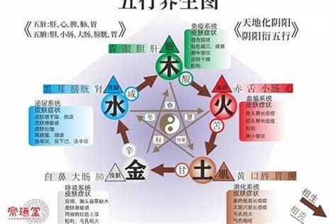 五行缺水缺火